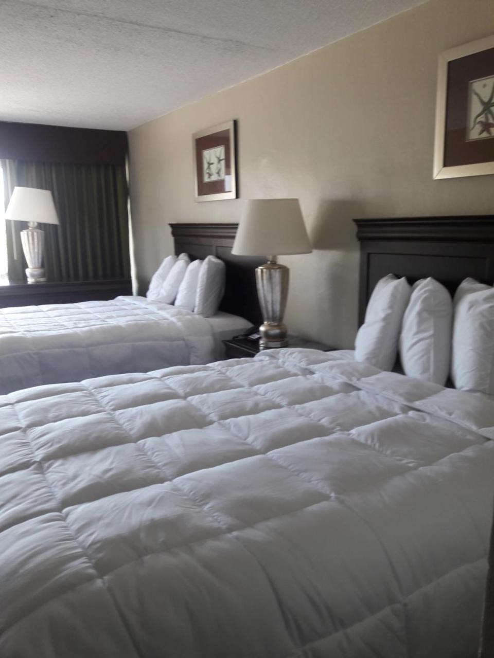 Ocean Waves Hotel Myrtle Beach Eksteriør billede